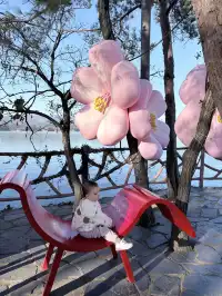 千島湖中心湖區攻略｜帶娃免門票遊湖！