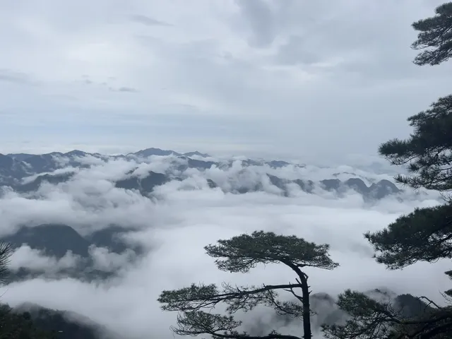三清山外雙溪索道攻略|避開人潮!承包美景 三清山外雙溪索道攻略|避開人潮!承包美景