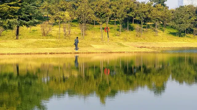 西安高新小森林 西安高新小森林