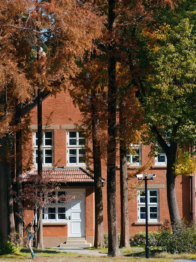 這個秋天在上海理工邂逅「英國鄉村」的浪漫 這個秋天在上海理工邂逅「英國鄉村」的浪漫