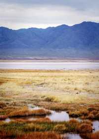 七彩鹽湖與雪山輝映的絕美景觀