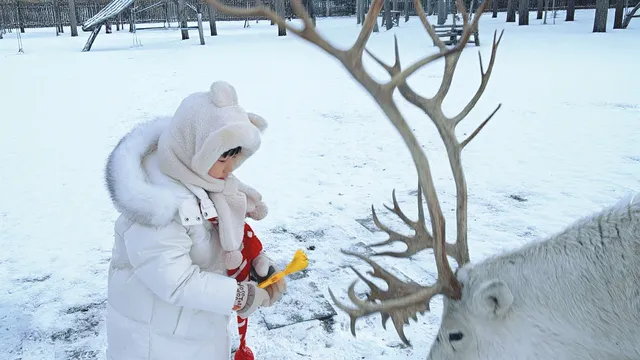 旅行記·長春長白山帶娃5天4夜遊 旅行記·長春長白山帶娃5天4夜遊