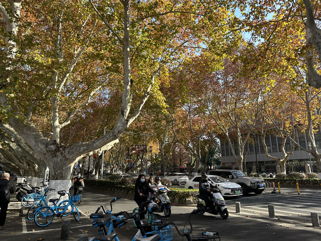 南京博物院 南京博物院