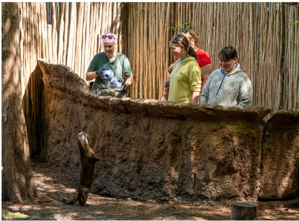 Palm Beach Zoo Otter Experience