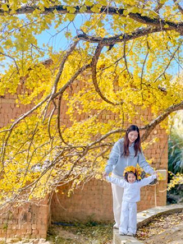 คู่มือเปรียบเทียบสำหรับทริปครอบครัว: หมู่บ้านเซียวฟางผิงที่เมาซิเฟิงในหนานเซียง กับ หมู่บ้านโบราณแปะก๊วยในผิงถาน!