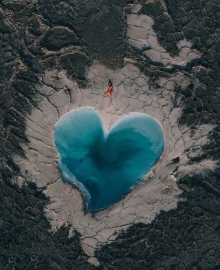 2026 Must-Have "Tree of Life" Trip with White Chrysanthemum in Qinghai