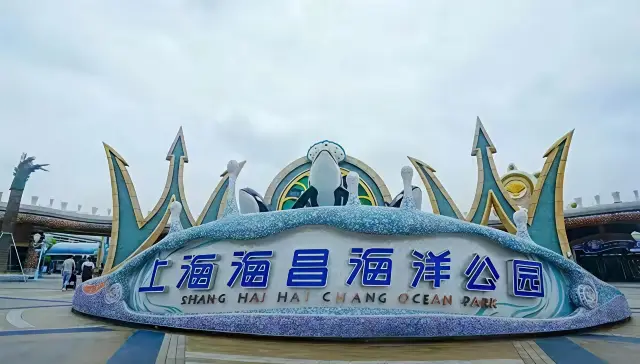 Shanghai's New Exhibition Hotspot