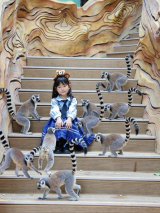 子供連れの家族にとって、3時間かけて体験できる動物園は行く価値があるだろうか？