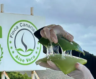 aloe vera tages und nachtcreme Aloe Vera Tagesfeuchtigkeitscreme main image 0