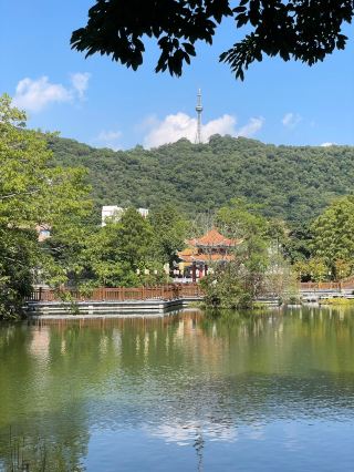 After getting lost in the "Little Huangshan of Eastern Guangdong," I finally learned the right way to explore