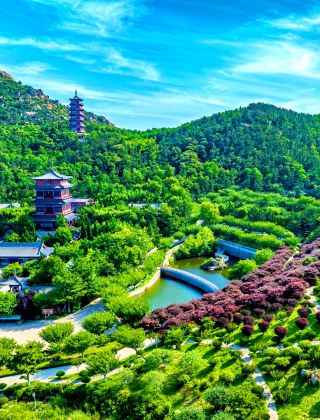  好客山東，燃動一“夏”——2026山東夏日遊玩全攻略 