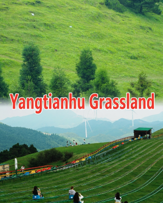 No need to travel all the way to Northern Xinjiang; a high-altitude grassland in the clouds is hidden right here in the south.