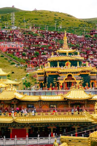 My journey to western Sichuan, fulfilling my dream of visiting Seda and Daocheng, was the most healing and breathtaking trip of the year. The entire experience was incredibly fulfilling, and every scene was soothing.