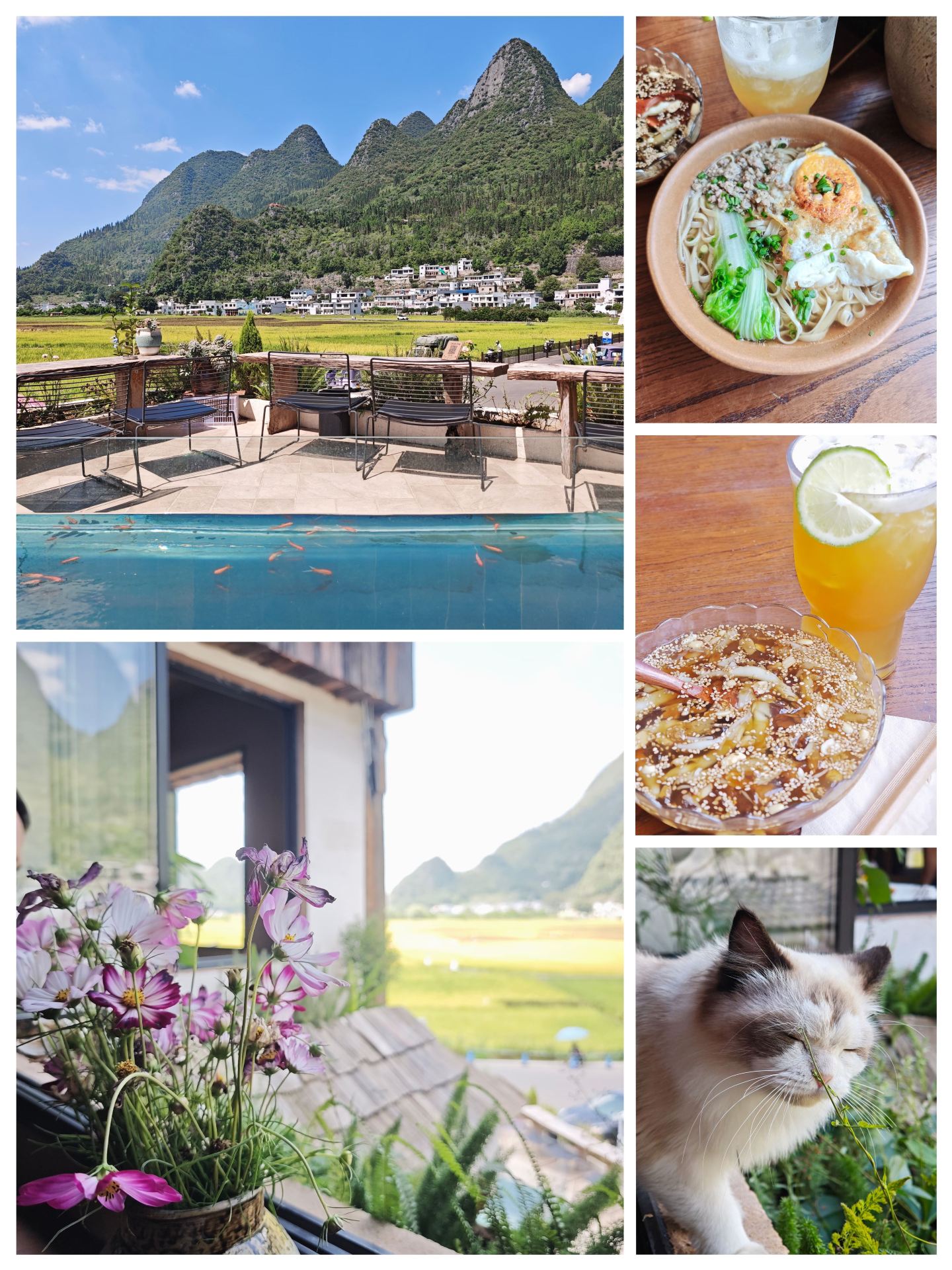 5-Day Southwest Guizhou Family Travel Guide: Must-Read Before You Go
