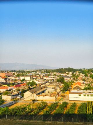 泰安市     岱岳區    大汶口鎮