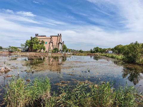 Summer at Chagan Lake is as beautiful as a water town in Jiangnan!