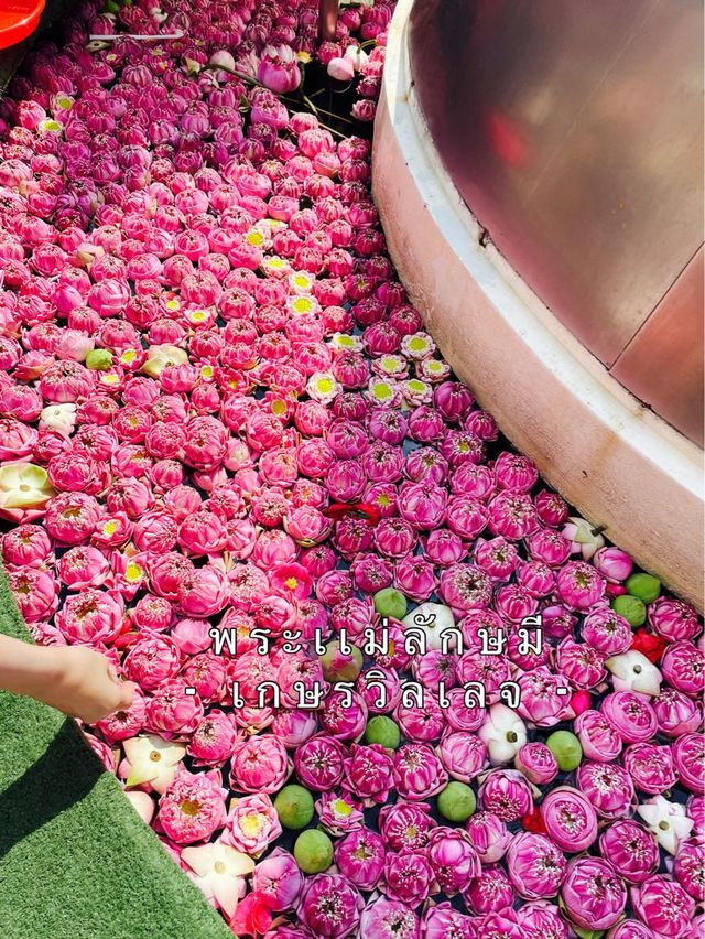 ขอพรความรักกับพระแม่ลักษมี
