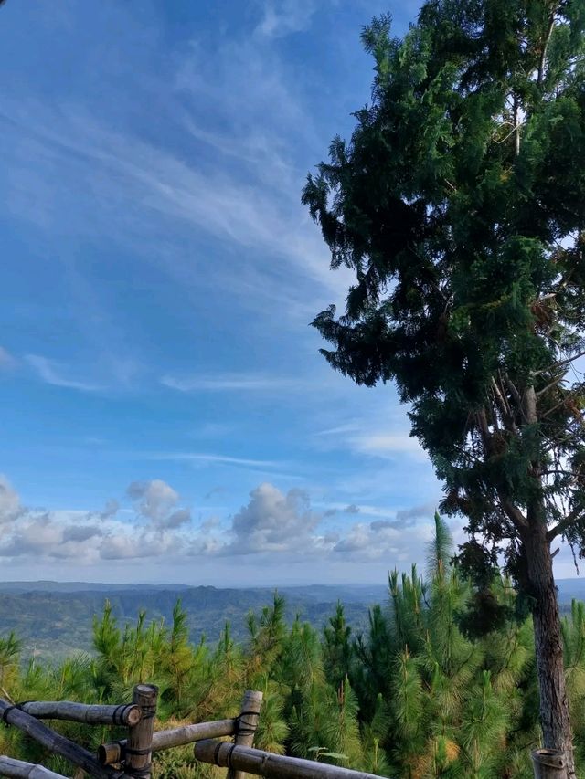 Unfiltered Nature 🌿