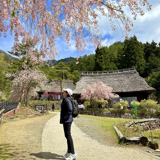 Saiko Iyashino- Sato Nenba