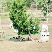 Scenic Rabbit/Chicken Farm @ Ratchaburi