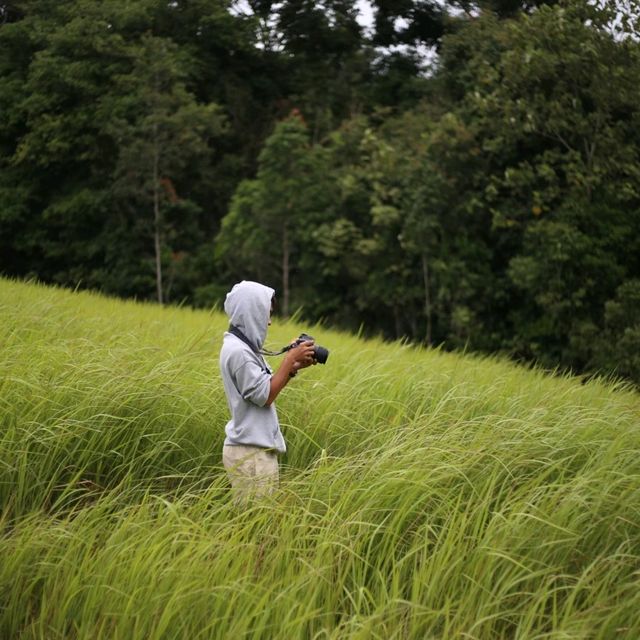 อุทยานแห่งชาติเขาใหญ่ น้ำผุดธรรมชาติ ปากช่องในฤดูฝน