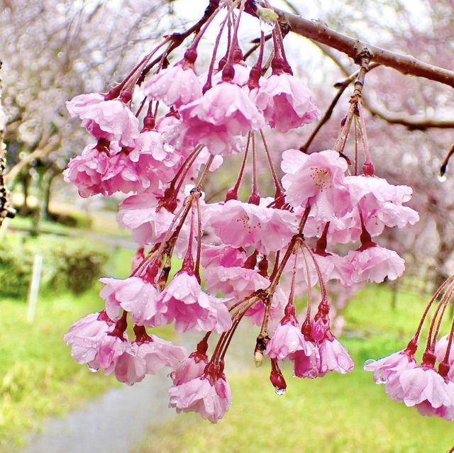 平和公園
