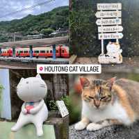 Houtong Cat Village 🐈