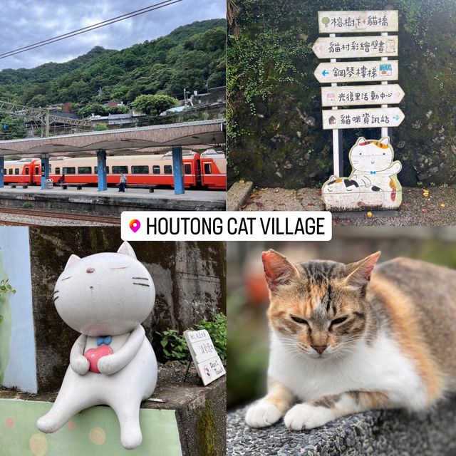 Houtong Cat Village 🐈