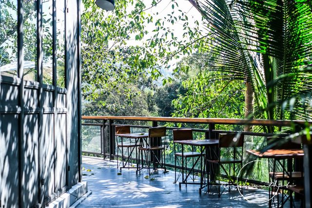 ท่าช้างฮิลล์ - Thachang Hill Coffee & Café