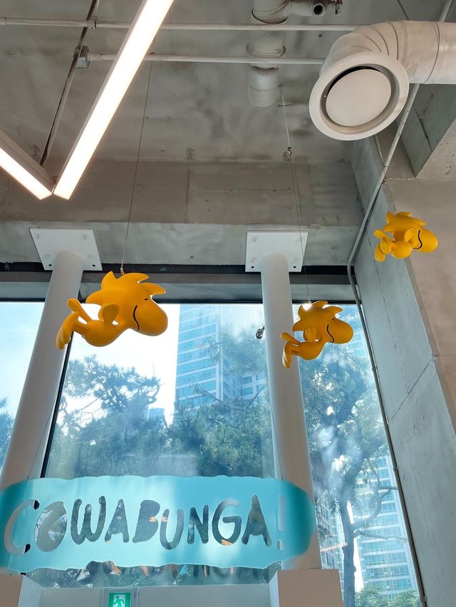【釜山カフェ】海雲台の可愛いスヌーピーカフェ🐶🫶🏻