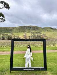 Stunning vineyard in Waiheke Island 