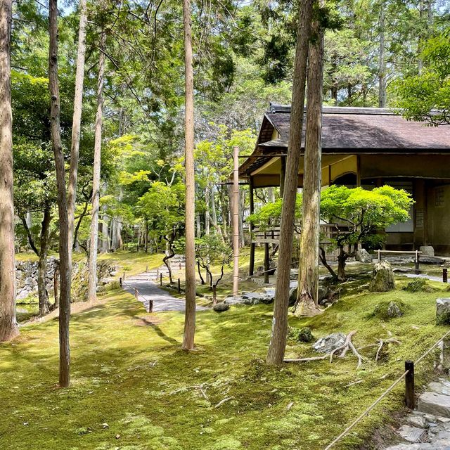 【京都】緑あふれる苔寺「西芳寺」
