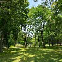初夏的札幌“中島公園”
