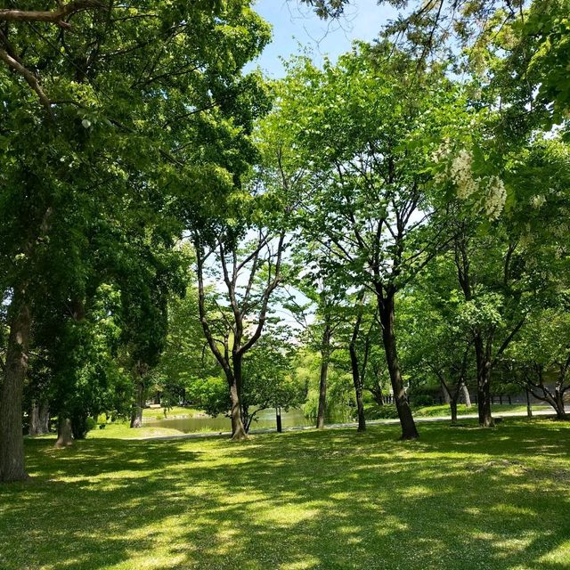 初夏的札幌“中島公園”