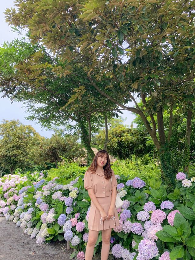 서귀포 여름꽃 다양하게 만날 수 있는 ‘제주민속촌’