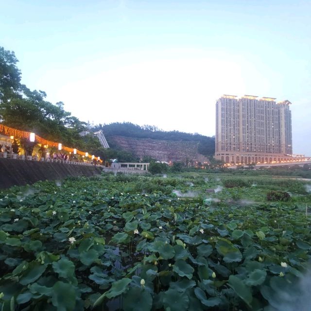 慢遊氹仔龍環葡韻 慢遊氹仔龍環葡韻