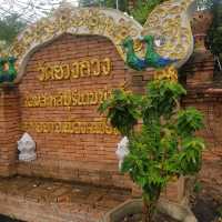 วัดยางกวง ขอพรพระแสนแซว่  เชียงใหม่