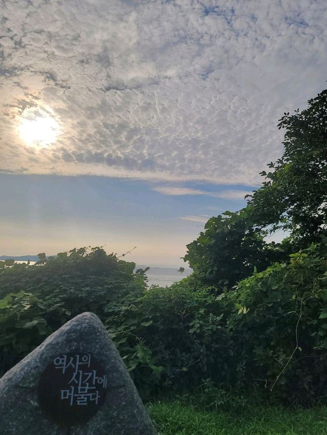 내년 수국시즌이 기대되는 가덕도 야생화단지💚