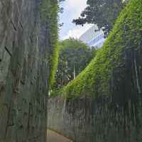 📝 福康寧公園🌳✨ 螺旋樓梯打卡位✨