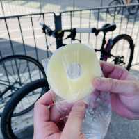 沙田單車遊🚲