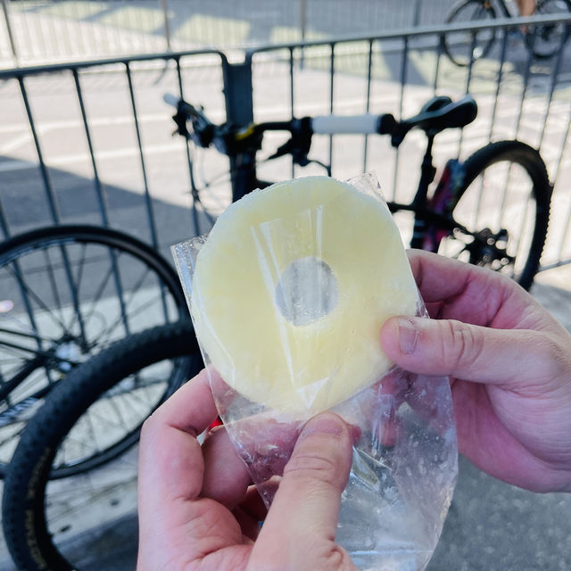 沙田單車遊🚲
