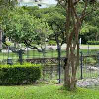 台中公園🐕