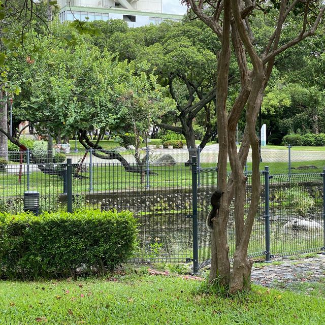 台中公園🐕