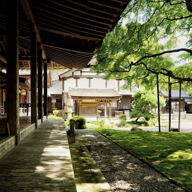 追尋千年古剎🌳🏯🍁雷山千如寺