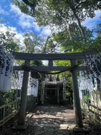 【愛知県/八百富神社】海と鳥居の眺めが美しい神社