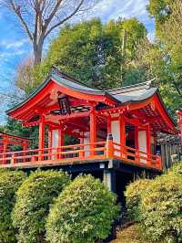 【東京都/根津神社】千本鳥居で人気の神社