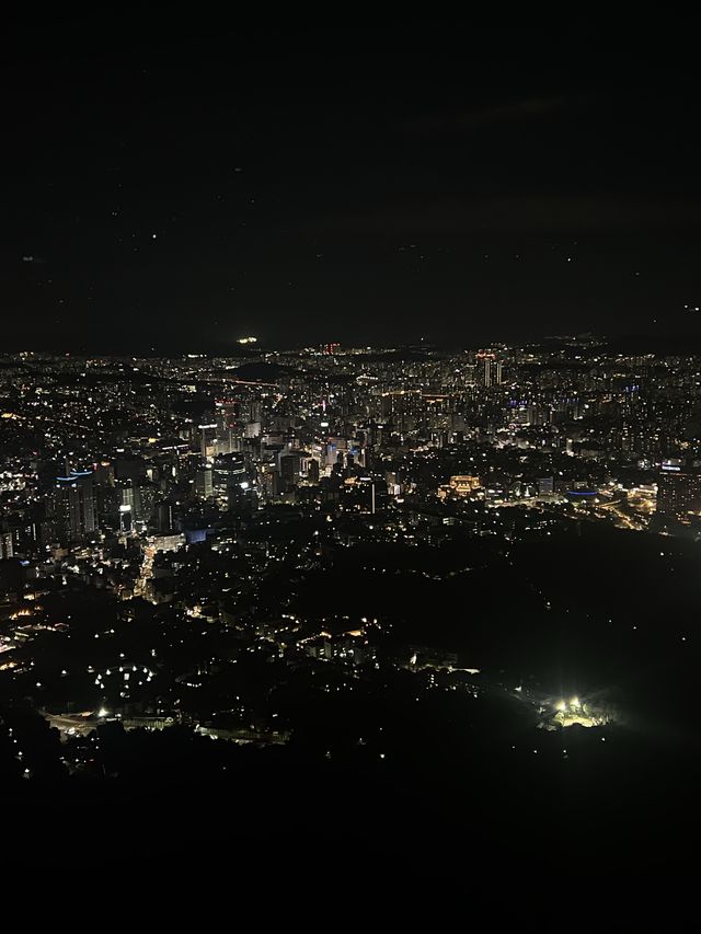 서울의 랜드마크 남산타워 🖤