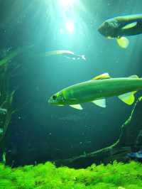 「池袋」サンシャイン水族館