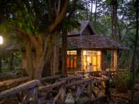 สวนป่าแม่แจ่ม อ.แม่แจ่ม จ.เชียงใหม่