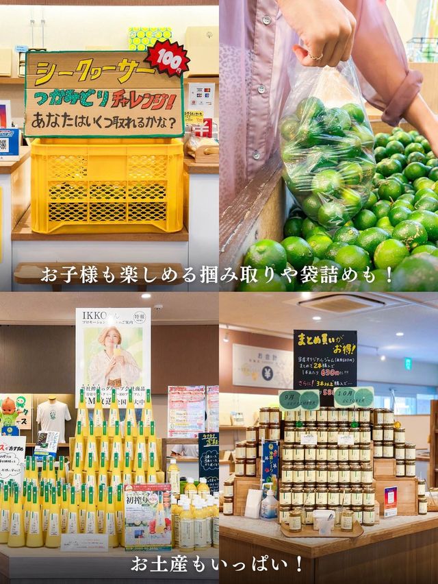 大人も子供も楽しめる！美と健康に嬉しいシークヮーサーパーク🌺